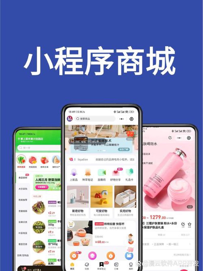 软件定制:企业成长的强大助力